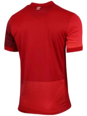 Poland maillot extérieur uniforme de football deuxième maillot haut de kit de football sportswear homme 2024-2025